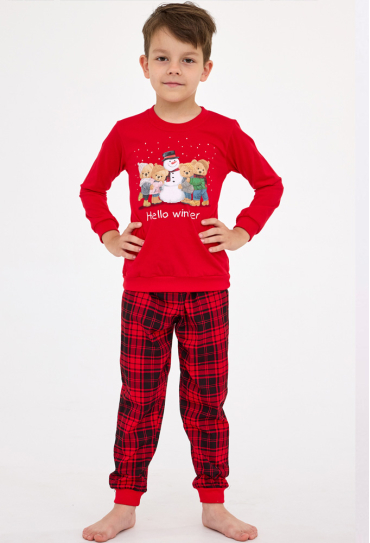 Пижама детская для мальчика Winter Cornette 593/171