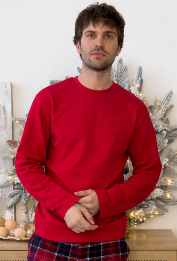 Пижама мужская байковая Winter Holiday Cosy KMW20/1 фото