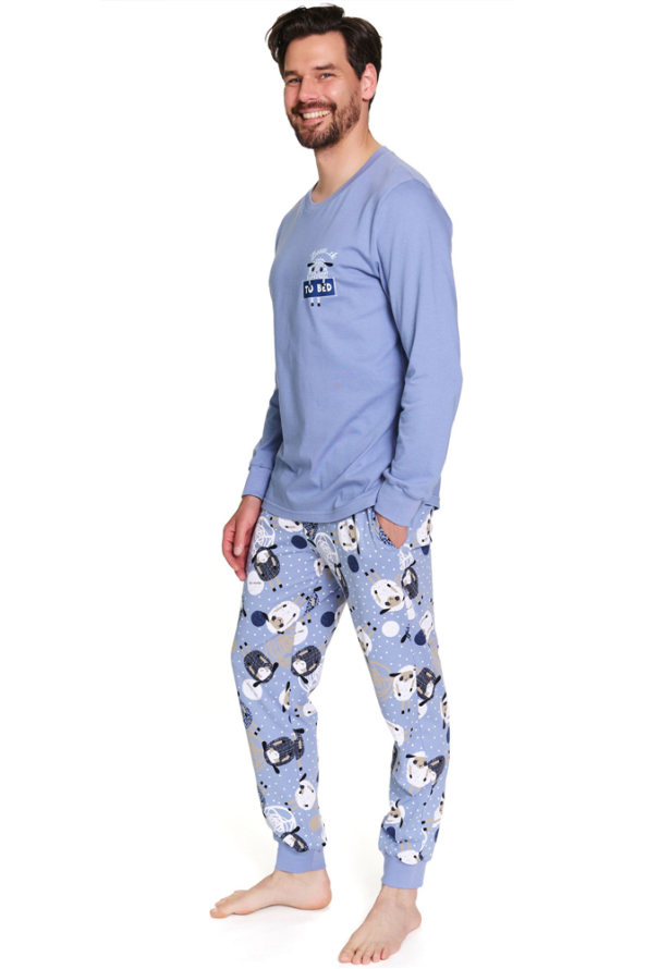 Пижама мужская хлопок Doctor Nap PMB.7347 фото