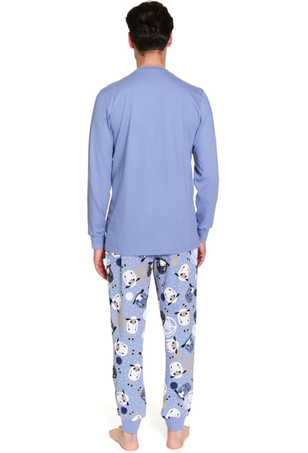 Пижама мужская хлопок Doctor Nap PMB.7347 фото