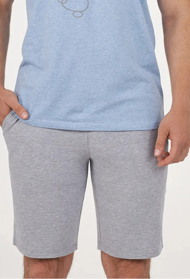 Пижама мужская хлопок Daniel Ellen MPK 2071/01/07 фото