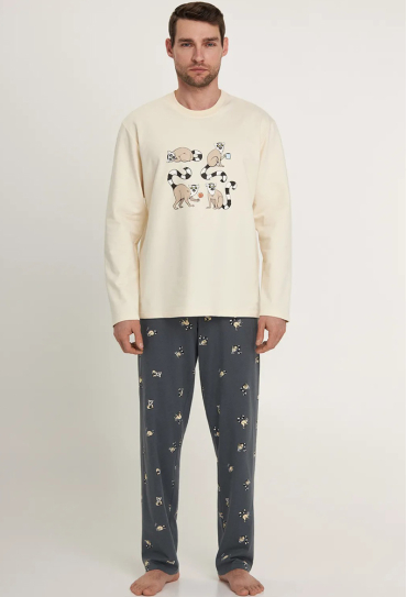 Піжама чоловіча двунитка Easy Mood Ellen MPD 0880/13/02