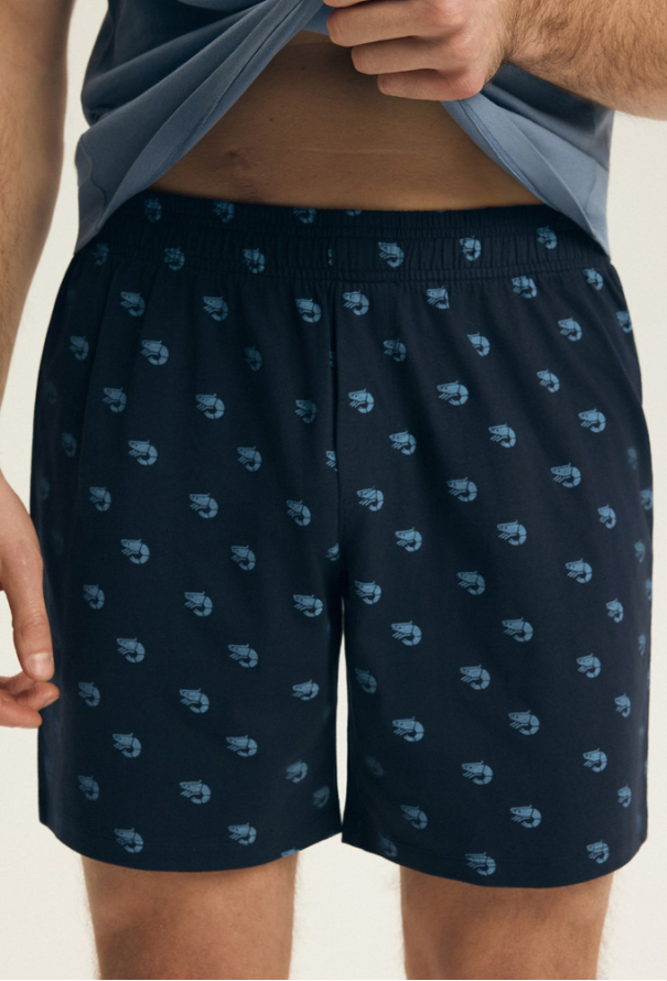 Пижама мужская хлопок Brad Henderson 44520DG фото