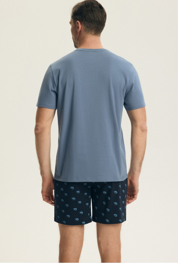 Пижама мужская хлопок Brad Henderson 44520DG фото