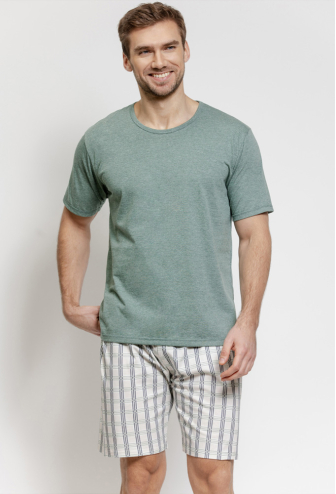 Пижама мужская хлопок Alex Taro 3581