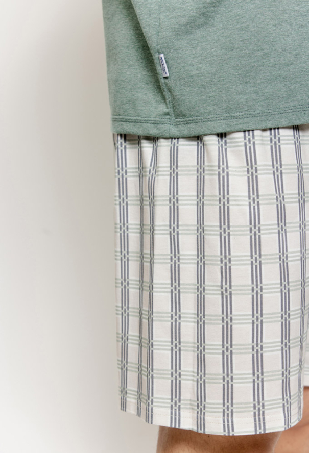 Пижама мужская хлопок Alex Taro 3581 фото