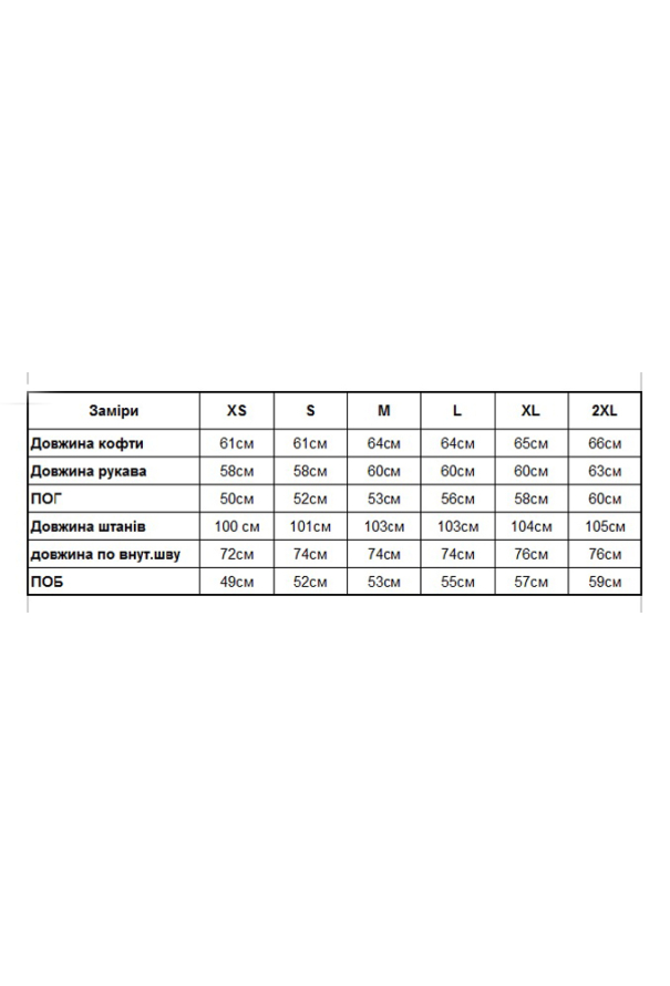 Костюм женский велюровый V.Velika 065-21MLBK фото