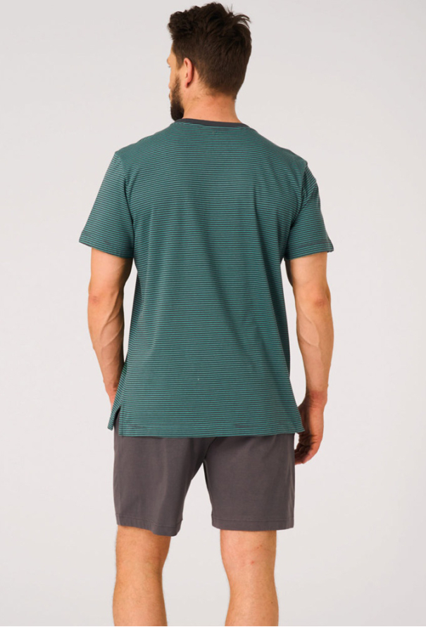 Пижама мужская хлопок Key МNS 317-4 фото