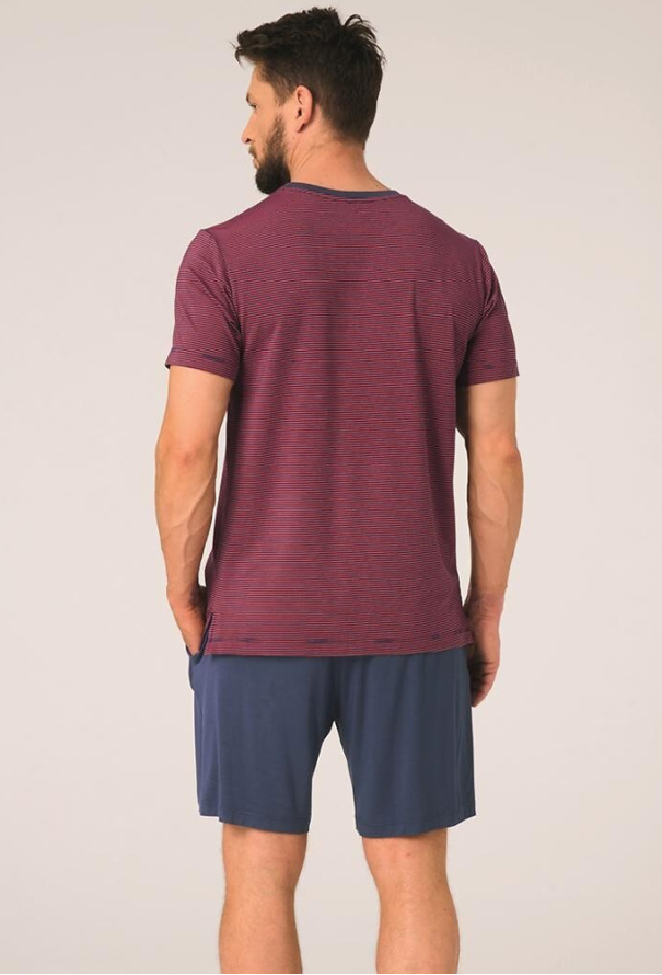 Пижама мужская бамбук Key МNS 319-4 фото