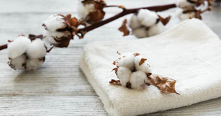 Хлопок - король комфорта. Свойства, виды и уникальные особенности ткани